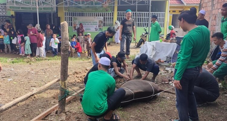 Dipimpin Langsung Ketua Yayasan, Kekompakan Panitia Kurban Kauny Insanul Quran Palembang Tuai Apresiasi Warga