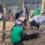 Dipimpin Langsung Ketua Yayasan, Kekompakan Panitia Kurban Kauny Insanul Quran Palembang Tuai Apresiasi Warga