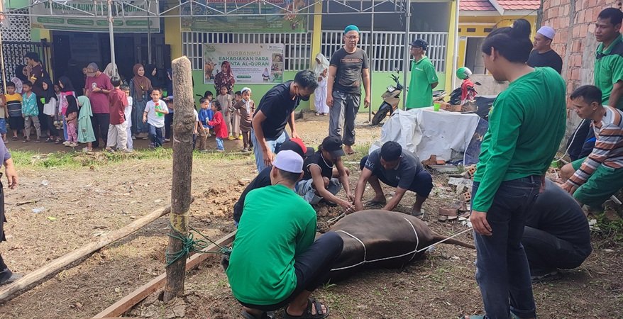 Dipimpin Langsung Ketua Yayasan, Kekompakan Panitia Kurban Kauny Insanul Quran Palembang Tuai Apresiasi Warga